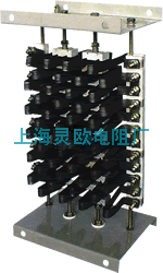 ZX9 、ZX12型草莓视频下载黄污APP